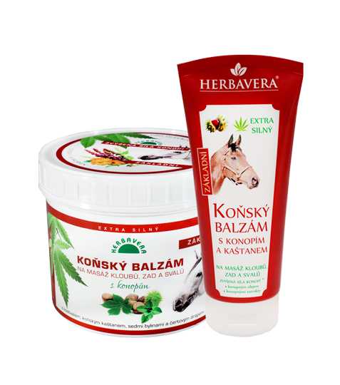 S kaštanem koňským